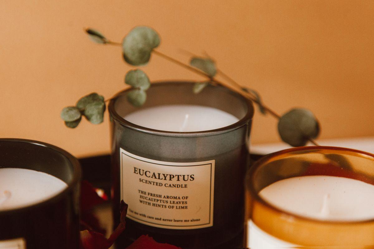 Eucalyptus scented candles with dried leaves