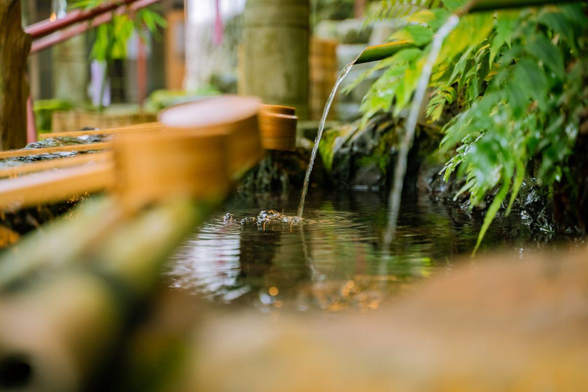 Bamboo water feature in a tranquil garden